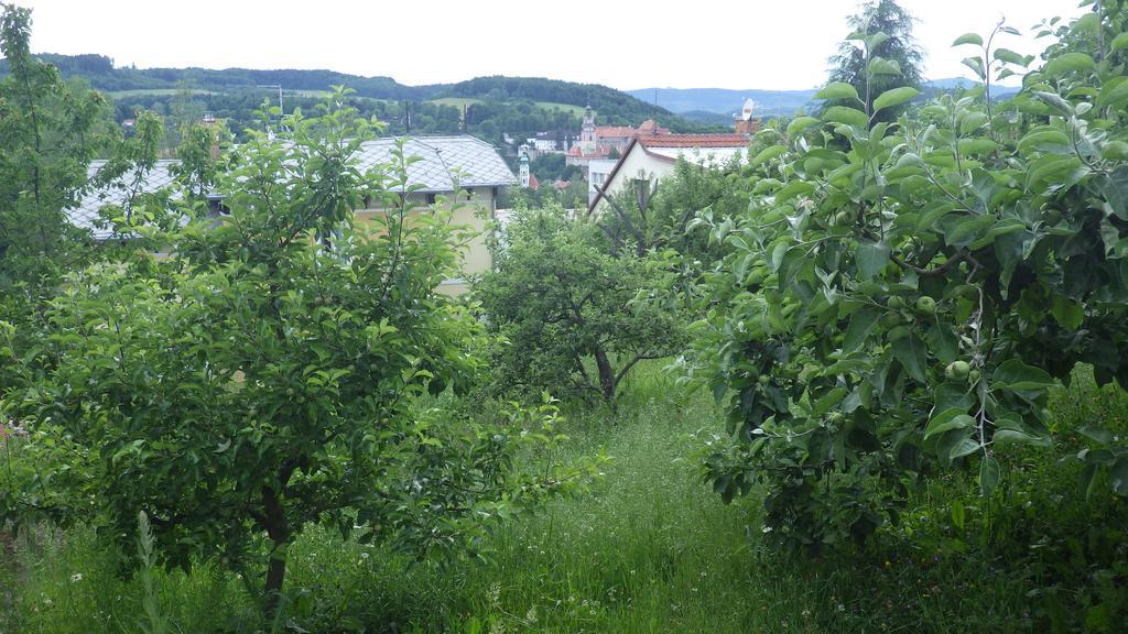 Ubytovani U Dolanskych Český Krumlov المظهر الخارجي الصورة