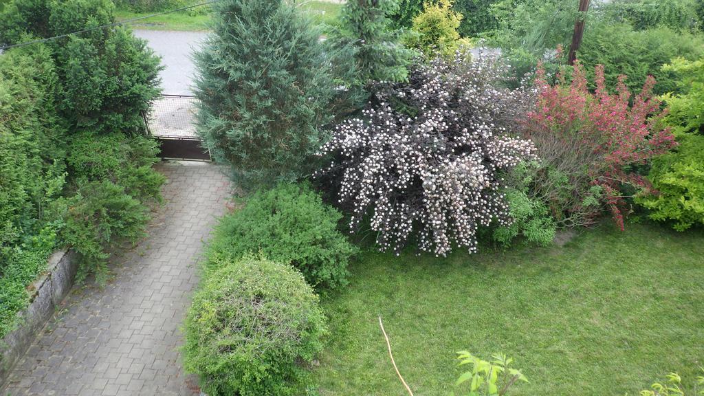 Ubytovani U Dolanskych Český Krumlov المظهر الخارجي الصورة